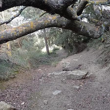 Appartement El Ventanico