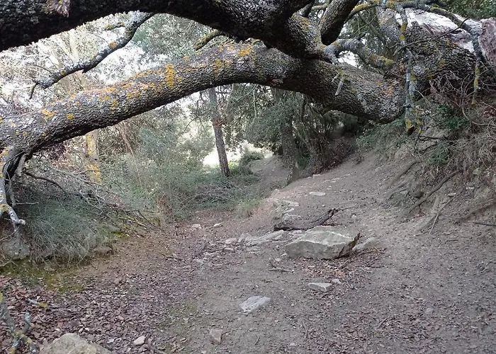 Appartement El Ventanico